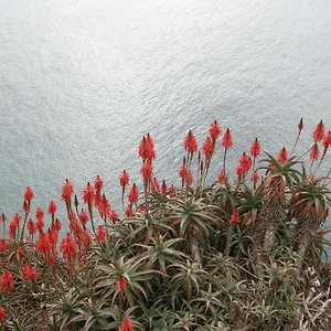  Apartment Palma Madeira Wandern Und Tauchen